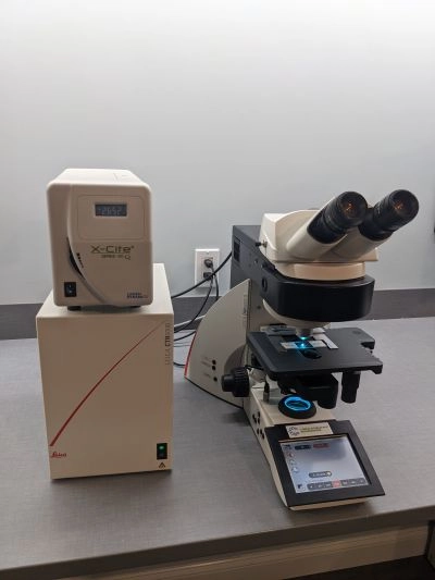 Leica DM6000 B Upright Motorized Fluorescence Trinocular Microscope
