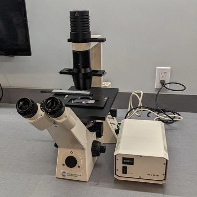 Zeiss Axiovert 40 CFL Inverted Phase Contrast Fluorescence Trinocular Microscope