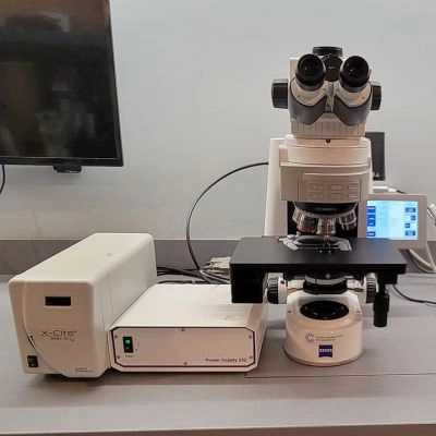 Zeiss Axio Imager M2m Upright Fluorescence Materials Trinocular  Microscope