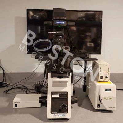 Main Image
