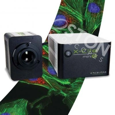 Excelitas X-Cite Mini+ LED Fluorescence Illuminator Microscope Illuminator