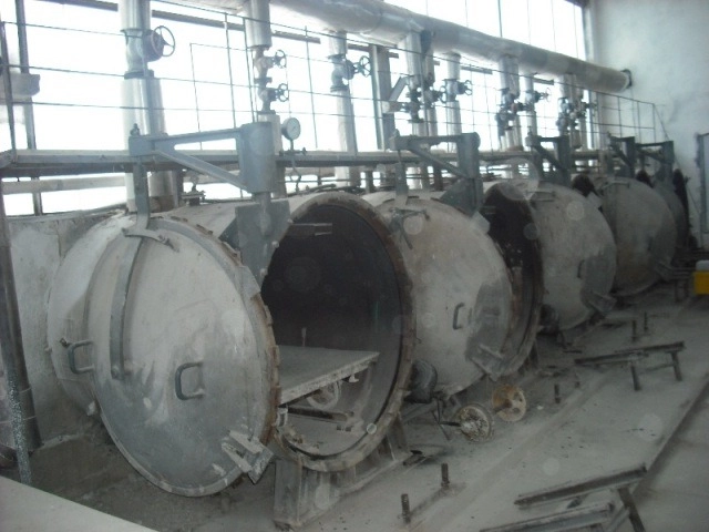 Hansa AAC Autoclaved Aerated Concrete Plant, 100,000 M3/Year