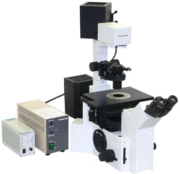 Olympus IX50 Microscope, Inverted with Phase Contrast and Fluorescence