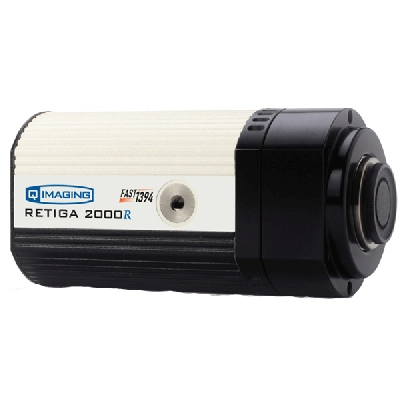 QImaging Retiga 2000R Color CCD Camera