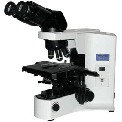 Olympus BX41 Microscope with Tilting Head and 2x Objective