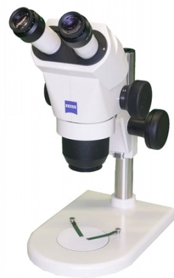 Zeiss Stemi 2000 Stereo Microscope with Table Stand