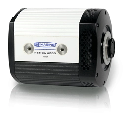 QImaging Retiga 6000 Color CCD Camera