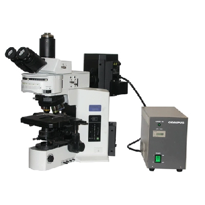 Olympus BX51 Microscope w/Tri Head Fluorescence