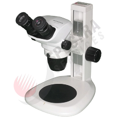 Olympus SZ61 Stereo Microscope on Table Stand