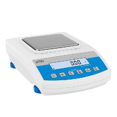 Radwag Precision Balance WLC 0,6/A1/C/2 WL-217-0006