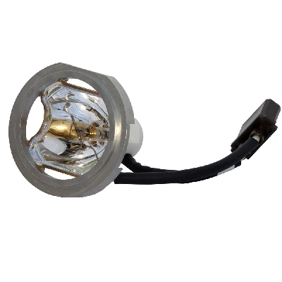 Replacement Lamp for PhotoFluor LM-75 OLMP0002