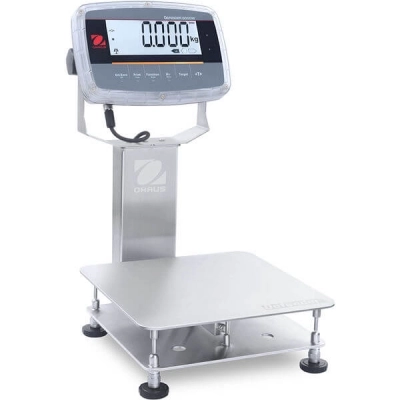 Ohaus Bench Scale i-D61PW12K1R6 30575570