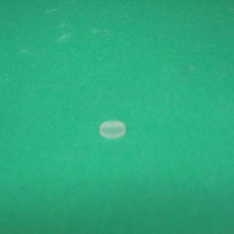 Lid for micro-micro solid sampler - E730616-110