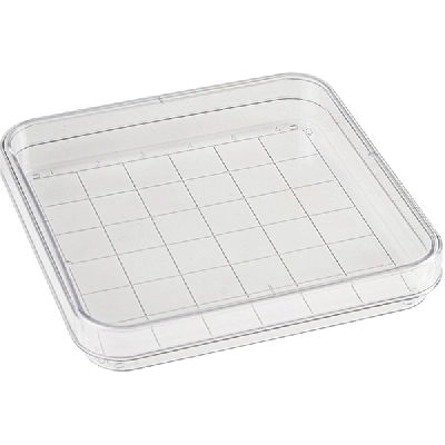 Simport Square Petri Dish with Grid 100 mm x 15 mm, Cs/500 D210-16