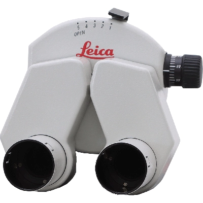 Leica Straight Binocular Head T 10429784