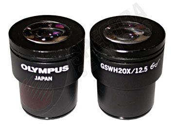 Olympus GSWH20x/12.5 Single Eyepiece