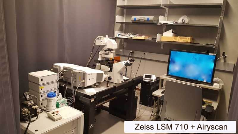 Zeiss LSM 710 Confocal Microscope + Airyscan