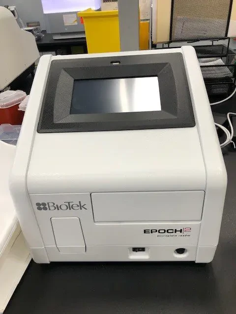 Main Image