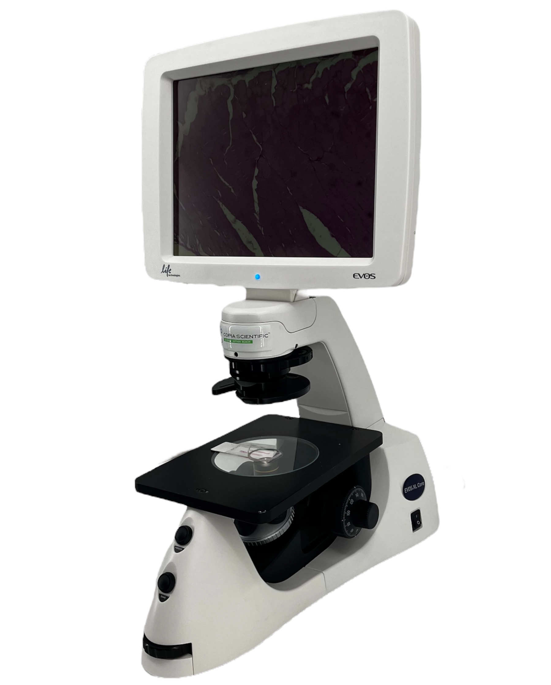 Thermo Fisher Scientific EVOS XL Core Imaging System Microscope