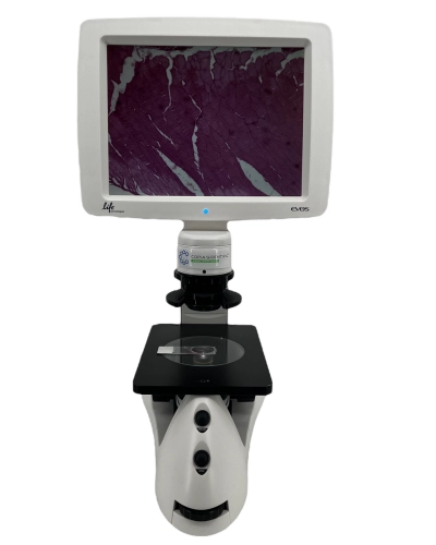 Thermo Fisher Scientific EVOS XL Core Imaging System Microscope