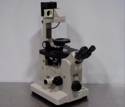 Main Image