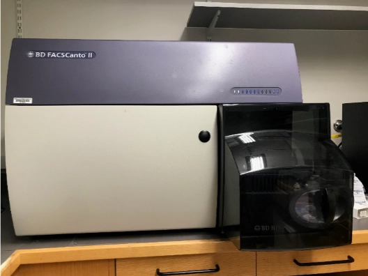 BD Biosciences FACSCanto II  Flow Cytometer