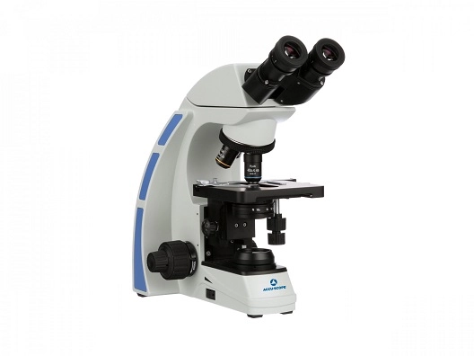 Accu-Scope 3000-LED *NEW* Compound Microscope