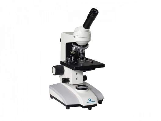 Accu-Scope 3080 Series *NEW* Compound Microscope