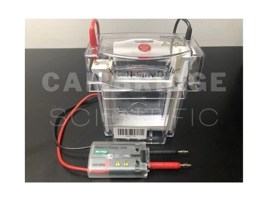 Invitrogen XCell SureLock Electrophoresis System 