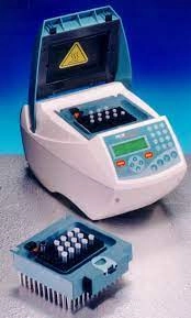 CLP PCR Express PCR / Thermal Cycler