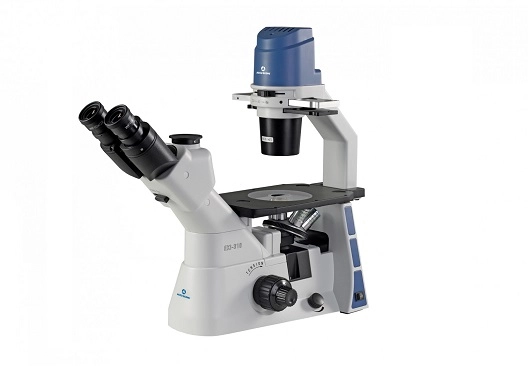Accu-Scope EXI-310 *NEW* Inverted Phase Contrast Microscope