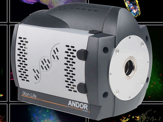 Andor Technology iXon Ultra 897 BV EMCCD *NEW* Microscope Camera 