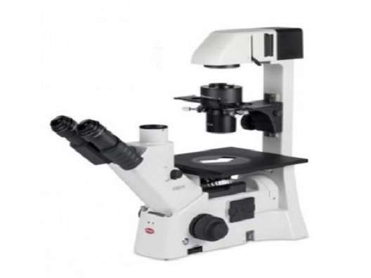 Motic AE31 Elite Trinocular *NEW* Inverted Phase Contrast Microscope