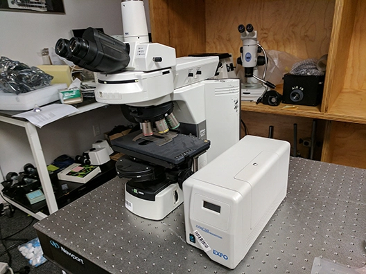 Nikon Eclipse 80i Compound Fluorescent Microscope
