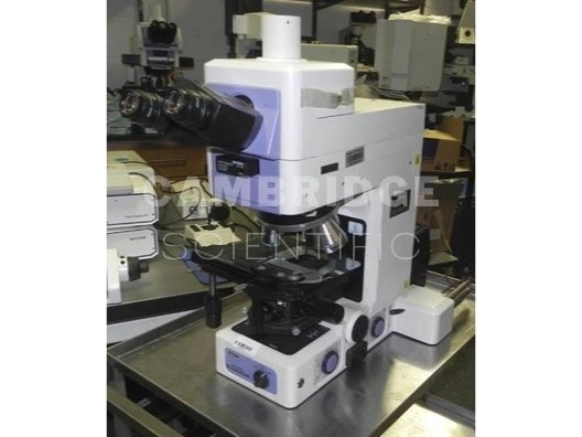 Nikon Eclipse E1000M Compound Microscope