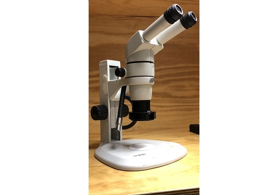 Nikon SMZ800 Stereo/Dissecting Microscope