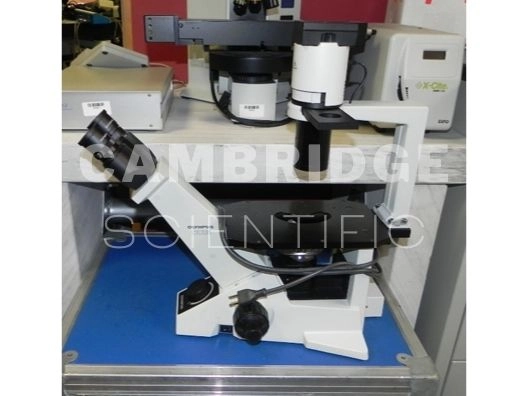Olympus CKX31 Inverted Phase Contrast Microscope | LabX.com Olympus CKX31 Inverted Phase Contrast Microscope | LabX.com