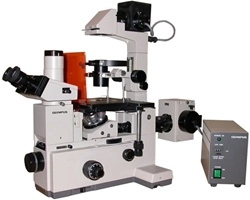 Olympus IMT2 Inverted Phase Contrast Microscope