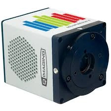 QImaging Micropublisher 6 Camera