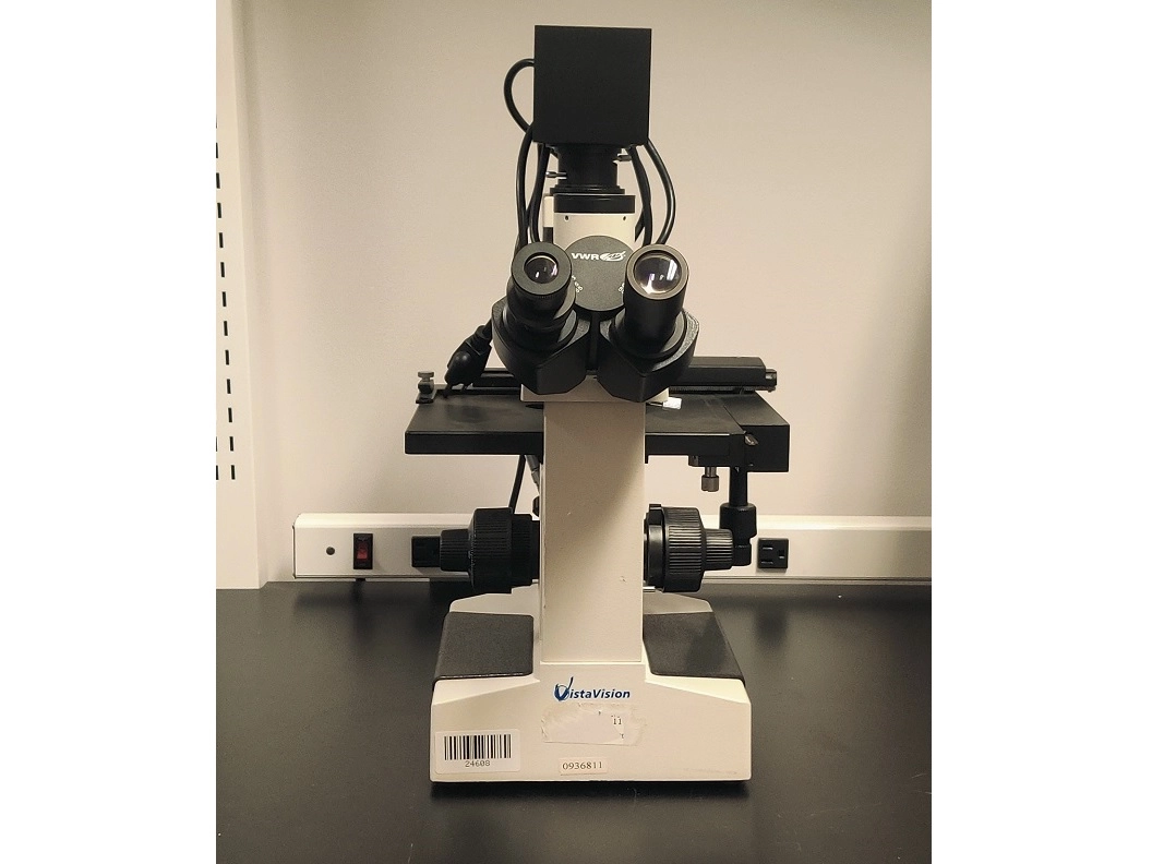 VWR VistaVision Compound Microscope