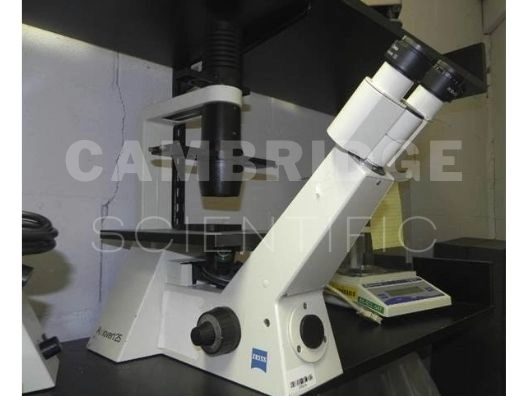 Zeiss Axiovert 25 Inverted Phase Contrast Microscope