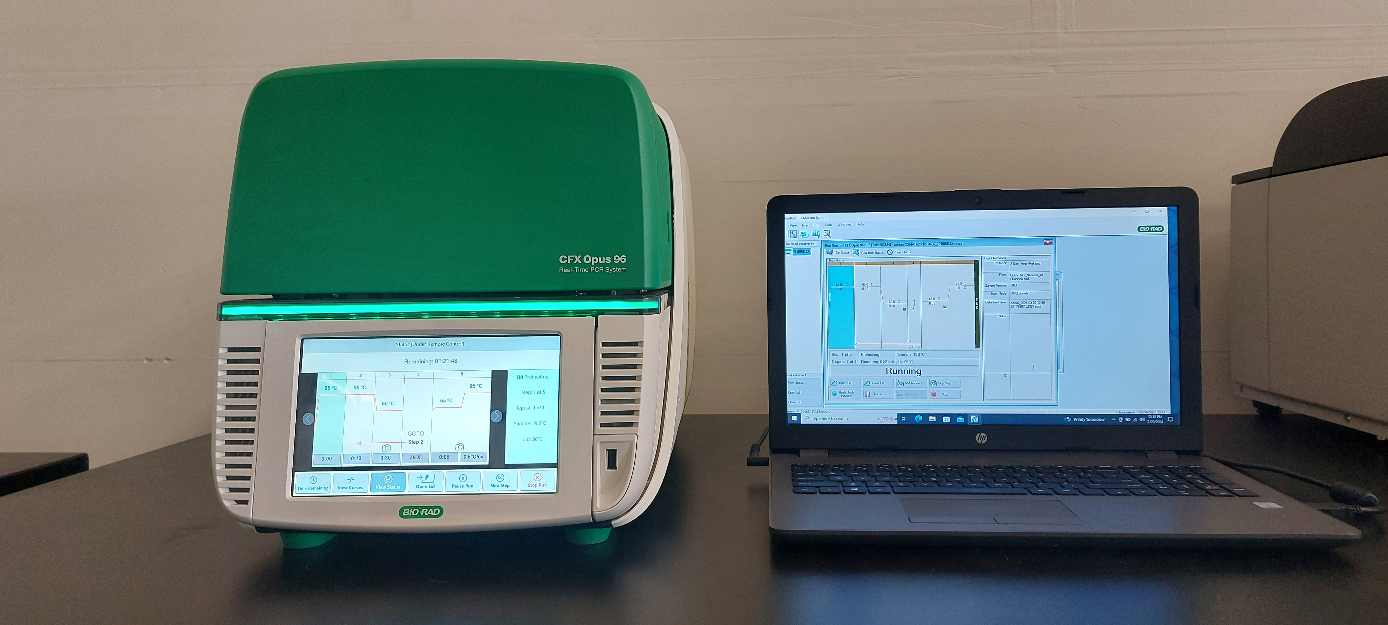 BioRad CFX Opus 96 Real Time PCR System (Unused)