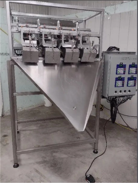 Used Actionpac 4 Lane Weigh Filler