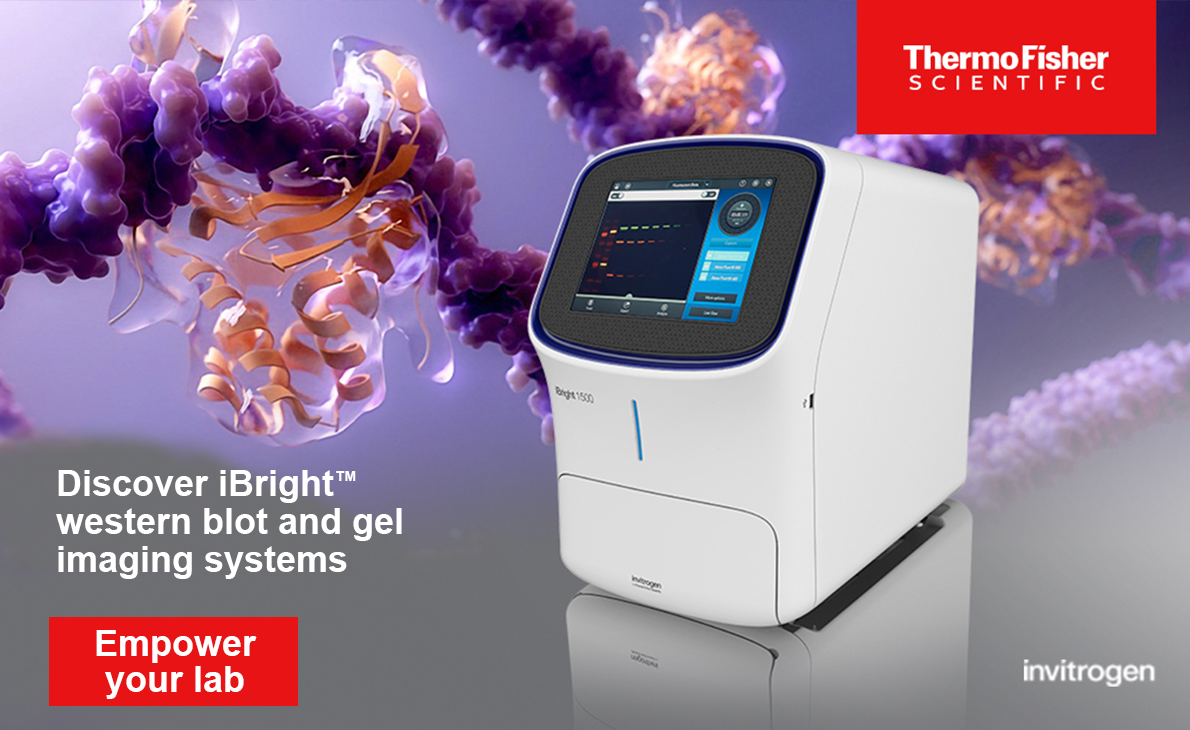 iBright Imaging Systems from Thermo Fisher Scientific