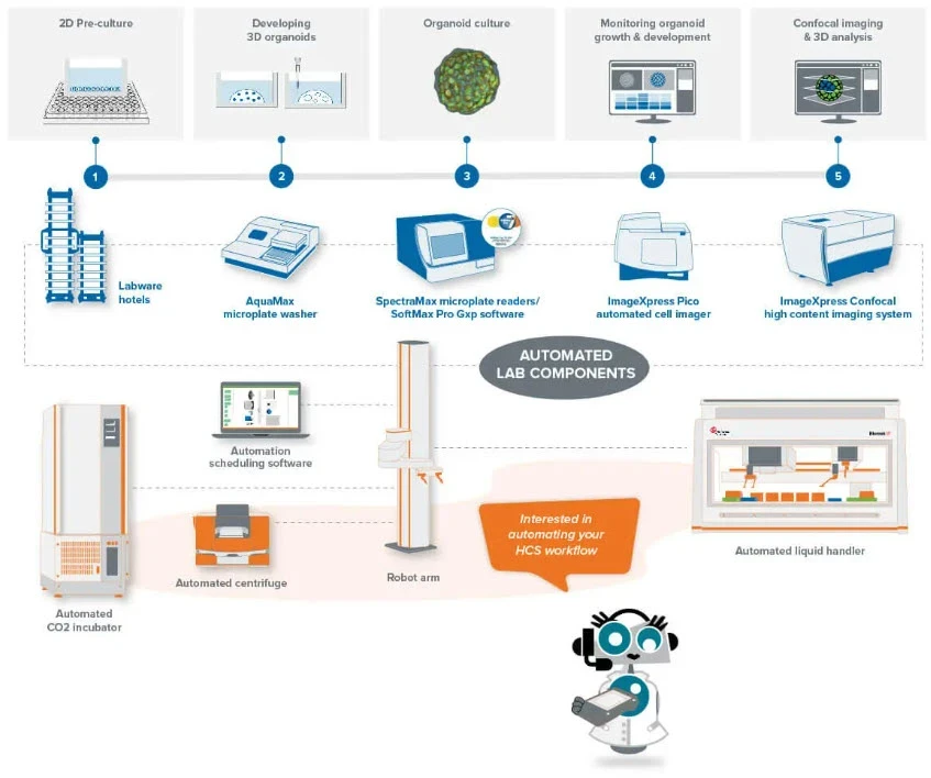 Automated High-Content Screening (HCS) Workcell