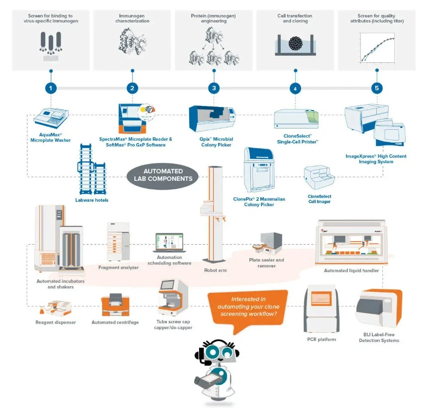 Automated High-Throughput Clone Screening Workflows