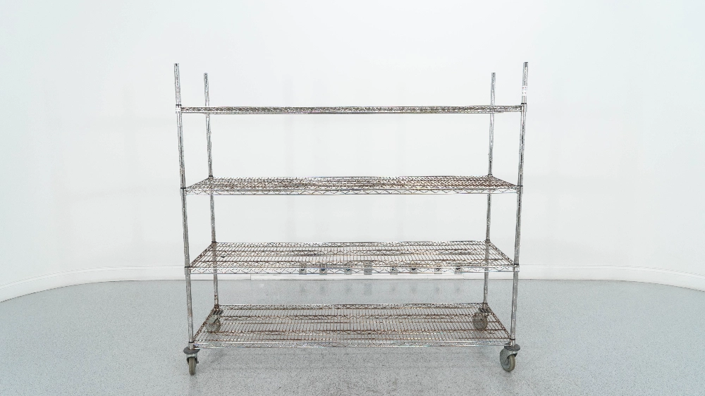 6' Portable Wire Shelving Unit