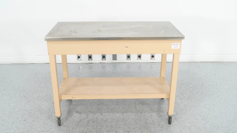 4'  Stainless Steel Top Portable Table