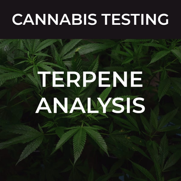 Cannabis Terpene Analysis System