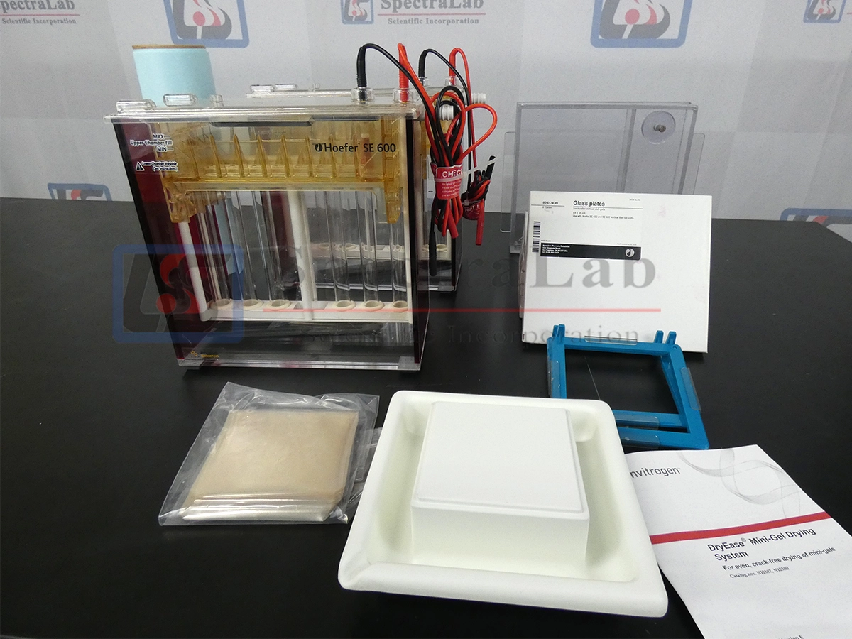 Hoefer SE 600 Series Vertical Electrophoresis System